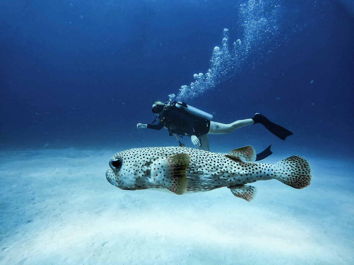2 certified divers
